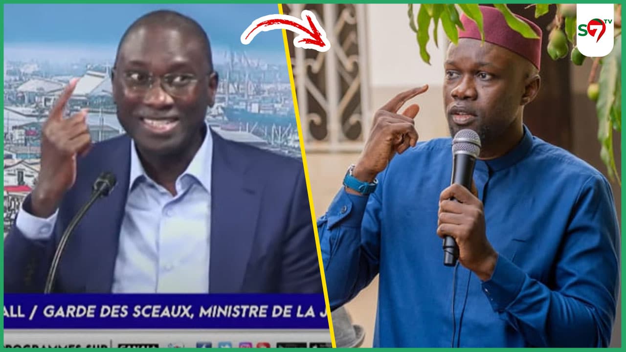 (Vidéo) "La condamnation de SONKO est définitive": Ismaila Madior Fall dément "Ken Messoul Wax Lolou"