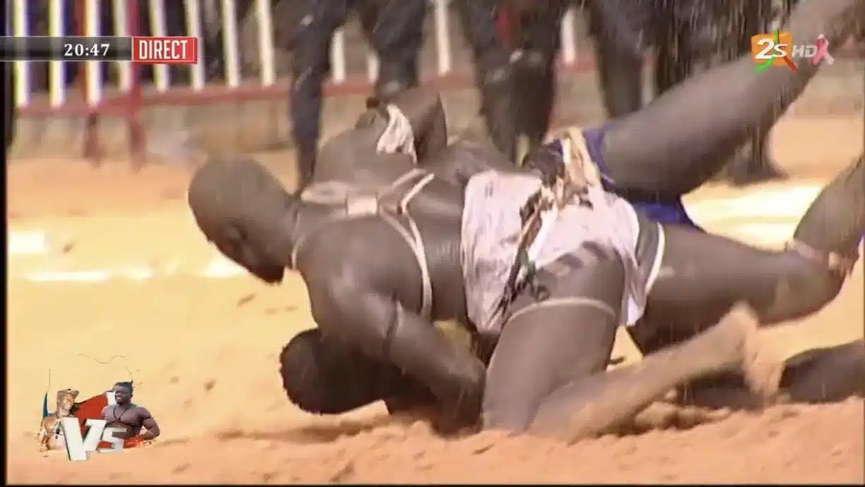 Urgent – Ada Fass terrasse Zoss et dévoile tout son savoir-faire