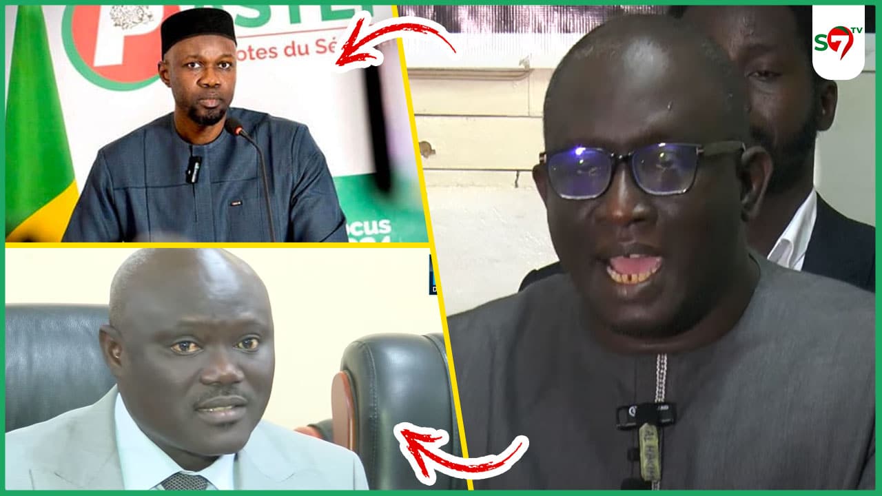 (Vidéo) Ayib Daffé "déchire" le communiqué de la DGE: "Xamnagne Ni SONKO Sou Boké Day Gagné"