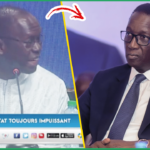 (Vidéo) « Sonko de nouveau éligible », La DAF l’aurait rétablit: Révélations chocs De Me B. Ndiaye, avocat de Pros