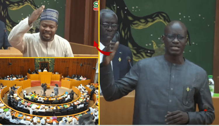 Les députés Abass Fall et Guy Marius Sagna libères !