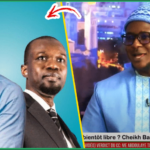 (Vidéo) Cheikh Bara Ndiaye tacle sévèrelent Moustapha Diakhaté Ismaila Madior Fall & Antoine Diome