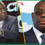 (Vidéo) « Ngagne Demba Touré Dou T£rroriste Sama Dome La Damay Dem Défendre Ko Constitué Done Avocat.. » Souleymane Ndene Ndiaye