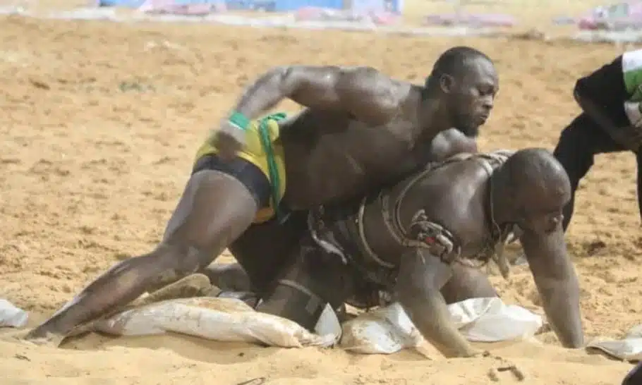 Lutte : Modou Lô « je ne lutterai plus contre Ama Baldé, je n’accorderai plus de revanche dans ma carrière”