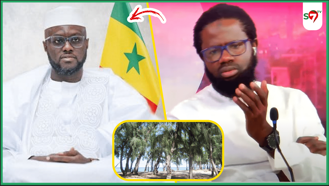 (Vidéo) Révélations sur un terrain d'El Malick Ndiaye dans la zone des filaos: la position tranchée de Mansour Sy Cissé