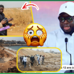 (Vidéo) Reprise des constructions: Serigne Saliou Gueye dément Madiambal « C’est pas vrai, Dou Deug… »