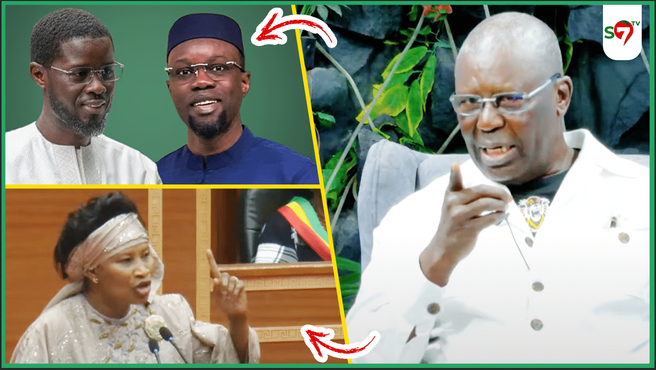 (Vidéo) Abrogation Amnistie: l’avis tranché de Babacar Gaye: "DIOMAYE Rek Moci Meuna Mouthie… SONKO Day Déllou Kasso…"