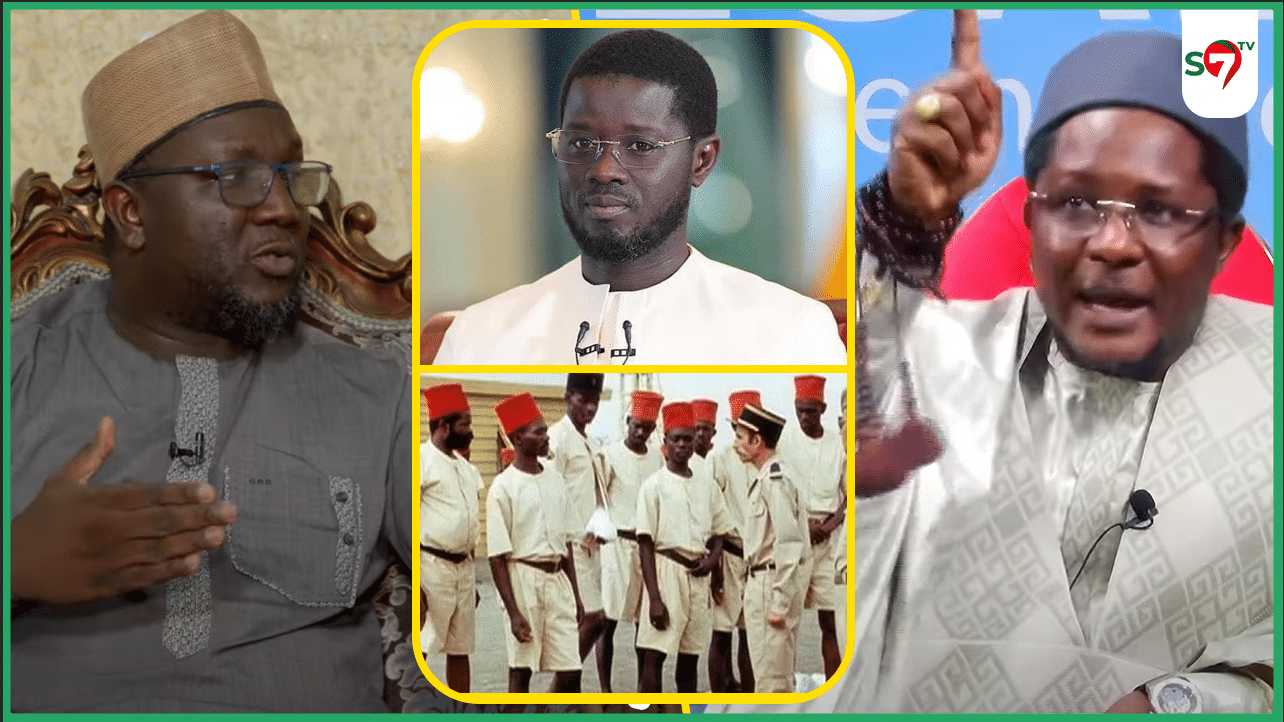(Vidéo) Propos polémique sur les tirailleurs, Cheikh Bara Ndiaye recadre sévèrement Cheikh Omar Diagne "DIOMAYE..."