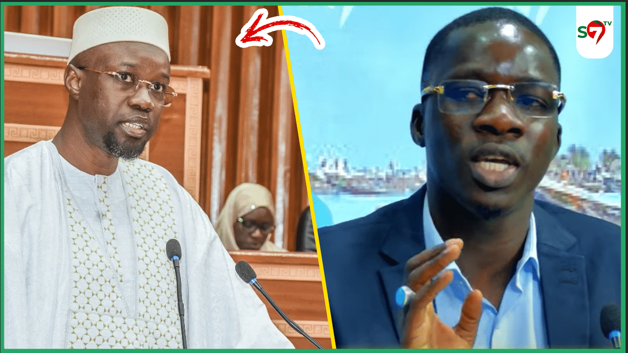 (Vidéo) Le décryptage pointu de Pape Amadou Mbaye sur la DPG de SONKO "Niveau Débat Bi Momaci Geuna Nekh..."