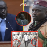 (Vidéo) Abrogation partieille de l’Amnistie: les mises en garde de Mouratalla Seck, Ñoo Lank à El Malick