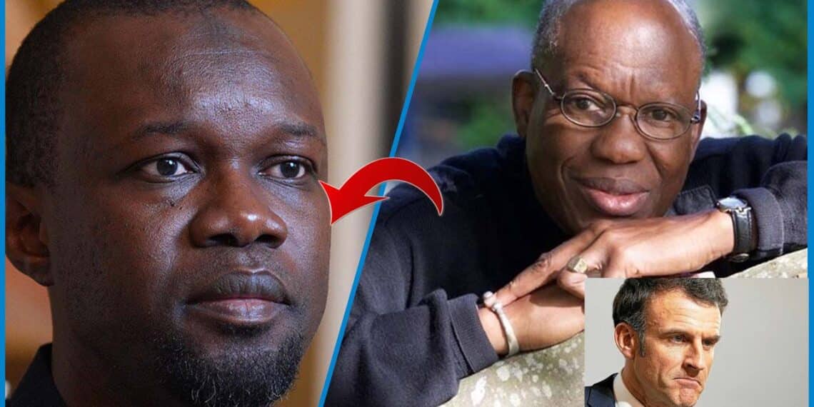 La France et l'Afrique la longue fidélité d'une amante d'ébène si spoliée (Amadou Lamine Sall)
