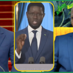 (Vidéo) Amnistie: DIOMAYE « Dou Fayantoo, Bala Ngay Ngay Baal Dangay Xam Kila Tagne, Bakene Dou Lougni Fowé… »