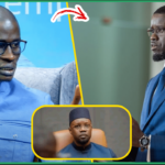 Affaire des 200 Ha de Diama : Mansour Faye sort de sa réserve et assène ses « vérités »
