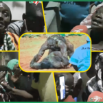 (Vidéo) Validation des dépenses d’investissements par SONKO: les précisions de Demba Thioune & Amadou Diouf « Cheikh Diba… »