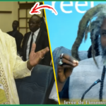 (Vidéo) Abdoulaye Mbow « enfonce » Farba Ngom devant Me TALL « Kou Taxaw Assemblée Nane Diélna Ak Dama Foxalé Ci Souf… »