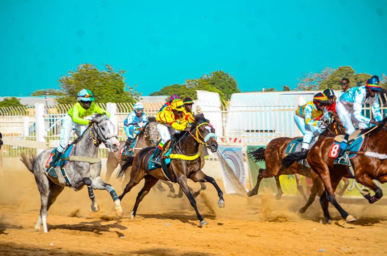 Course hippique : L’écurie Lambafar brille lors de la 3e journée à Thiès