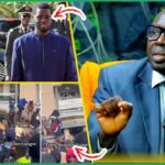 Ligue 1 : Après cinq défaites de rang, Rennes s’impose pour la première de Habib Béye