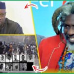 (Vidéo) Indemnisation des victimes des m@nifs: Pathé Thiombane corrige sévèrement Me Moussa Diop « Da Dioum »