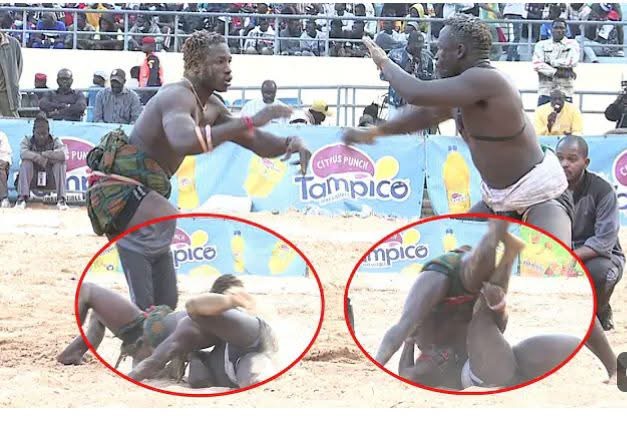 Lutte : Mbagnick Kairé : Rien ne va plus pour le fils de Boy Kairé