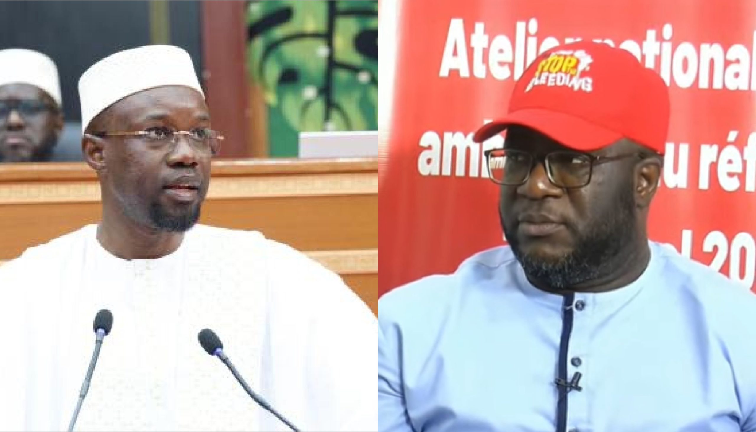 Ousmane Sonko à l’Assemblée nationale : Birahim Seck applaudit et liste ses attentes