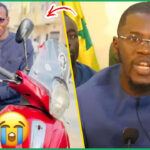 Loi d’amnistie : Le Pastef devant le fait accompli, (Par Gnigno Faye)