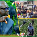 (Vidéo) Emploi Espagne: l’analyse pointue d’Abdoulaye Mbow « Li Geun Moy Ñi Tok Liguey Rewmi Waya Amagouñou… »