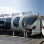 Tribunal de Pikine : le lutteur Pokola condamné à 6 mois de prison dont un mois ferme