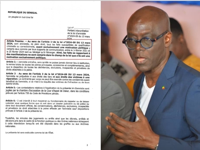 Proposition de loi d'amnistie : L'interprétation de la farce, (Par Thierno Alassane Sall)
