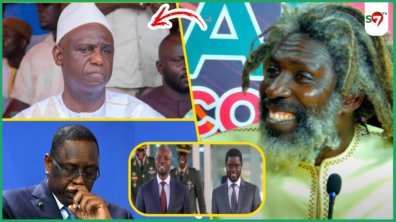 (Vidéo) Mansour Faye veut des élections anticipés: Dieuwrigne Ndiassé détruit le Goro de Macky "Psychatre La Soxla"