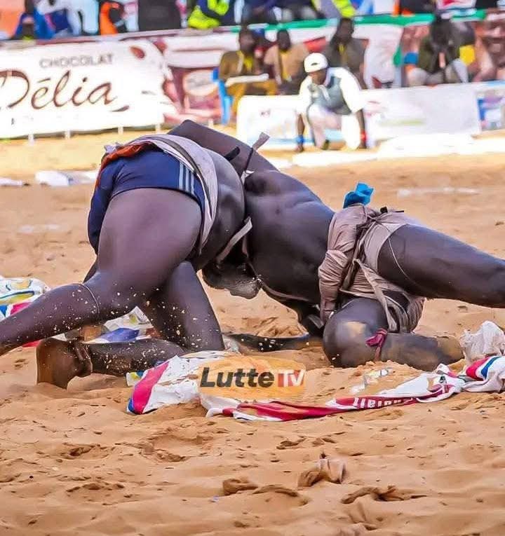 Lutte sénégalaise : Zéro sanction financière pour les lutteurs grâce aux nouvelles mesures