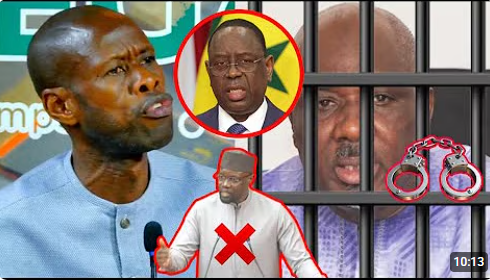 Vidéo) - Arrestation de Farba : Ameth Suzanne Camara crache ses vérités et détruit Sonko " Diaye Doolé Lako ..