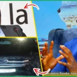 (Vidéo) Mansour Faye victime d’acc!d£nt, HCJ; conditions de cautionnement, mandat de depot: Me Tine dit tout