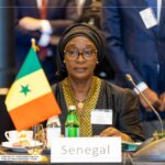 Création d’une cour constitutionnelle : Ndiaga Sylla appelle à la suppression de la déchéance électorale