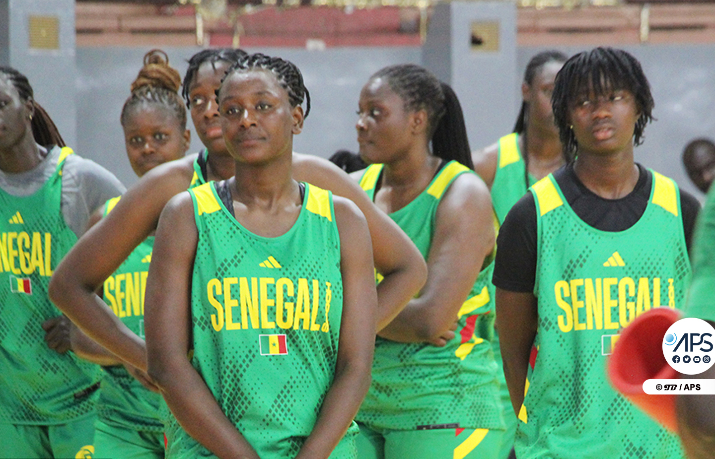 Préparation de l'Afrobasket : L'ambassade des États-Unis refuse le visa aux Lionnes