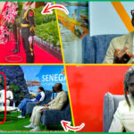 (Video) Inclination de SONKO devant la statue de MAO: les précisions de Dieuwrigne Ndiassé « Lolou Dou Sidiot… »