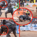 CHAN 2025 : Souleymane Diallo dévoile sa liste des 25 Lions locaux