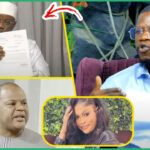 (Vidéo) Babacar Ndiaye décrypte la sortie de SONKO & lance une petite pique à COD « Ñinane Opposant La… »
