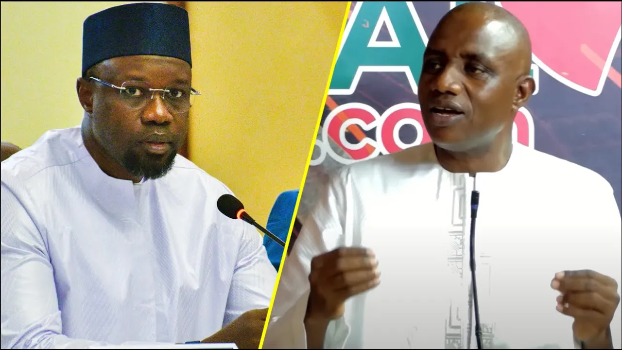 (Vidéo) La réaction salée de Yoro Dia après la sortie de SONKO "Pour Une Fois Il Est Sincère Parceque…"