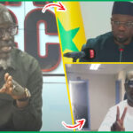 (Vidéo) Faram Facce: Tahirou Sarr « Litax Ma Regretté Lima Voté Pour Tégui Immunité Farba Ak Tahirou Sarr… »