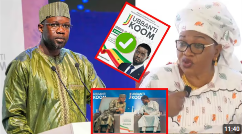 (Vidéo) - Plan de Redressement Économique et Social : La pertinente analyse de Aida Mbodj....