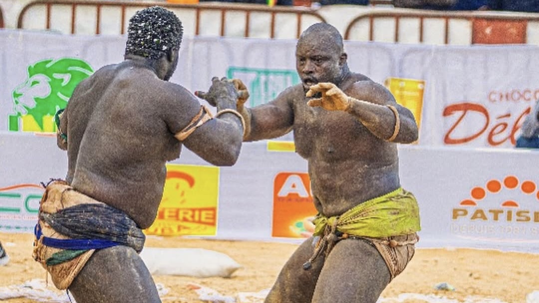 Création d’une Fédération de lutte : L’Assemblée générale fixée le samedi 30 août 2025