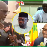 (Vidéo) Doudou Coulibaly libre: son avocat Me El Hadji Diouf hausse le ton & lance une pique à SONKO & El Malick Ndiaye