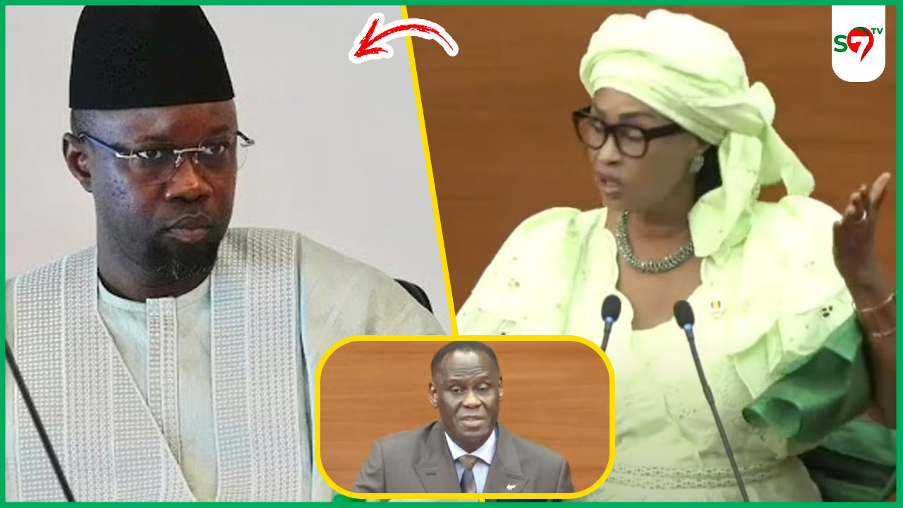 (Vidéo) Assemblée: le plaidoyer percutant de Maimouna Bousso "si cette loi était là, SONKO ne serait pas radié…"
