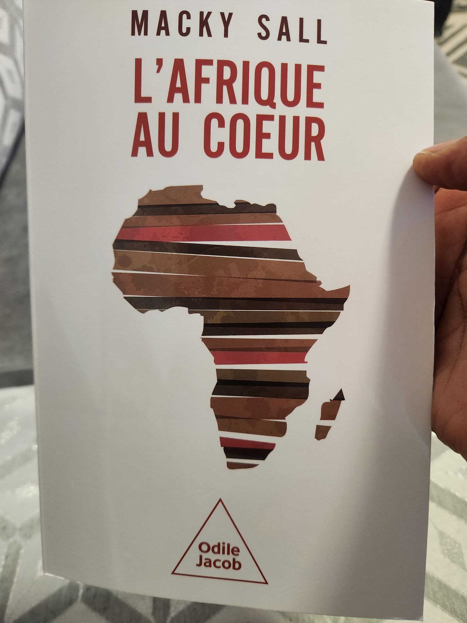 "Afrique au cœur" de Macky Sall : Mamadou I. Kane appelle à co-construire le Sénégal et l'Afrique