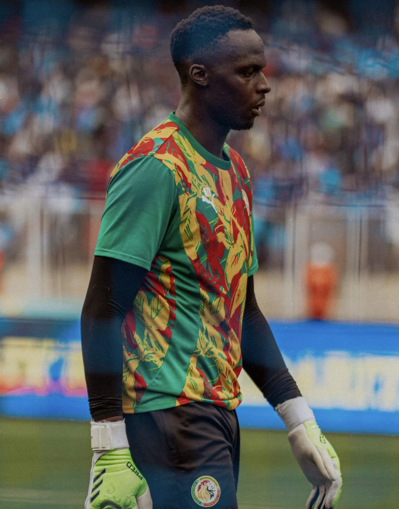 Édouard Mendy égale le record de Tony Sylva malgré la fin de sa série