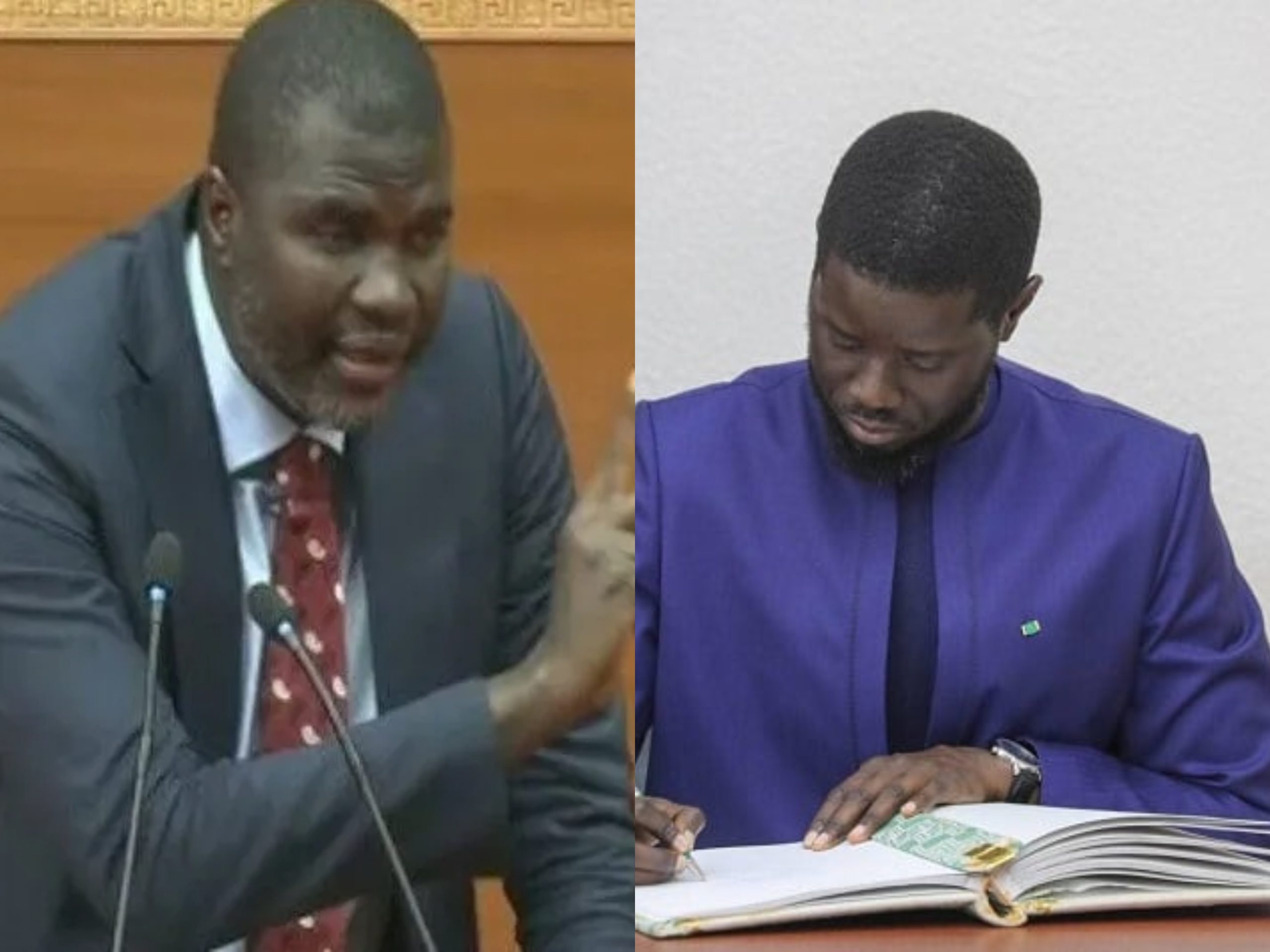 Promulgation du Règlement intérieur de l’assemblée nationale: Ces regrettables erreurs de l’expert Alioune Souaré, (Par Amadou Ba)