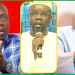 (Vidéo) Diaspora Bond: la réplique salée du Dr Babo Amadou Ba à Pape Malick Ndour « Dafa Danou Deugeuntane, Na Diel Bic Té Bind… il faut qu’il regarde ses cours…  « 