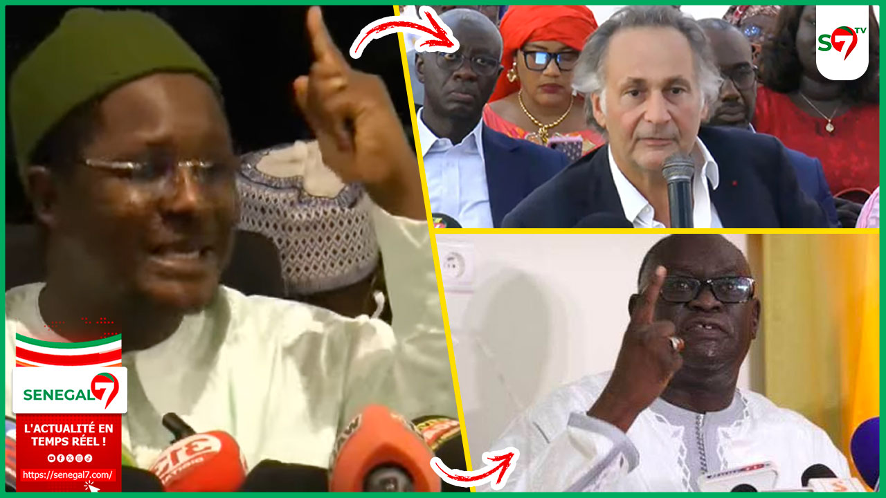 (Vidéo) "Me Pierre Olivier Sur Moy L’Avocat Du Diable Kou Niakk Fayda La Moy El Hadji Diouf Bou Bambey" dixit Cheikh Bara Ndiaye