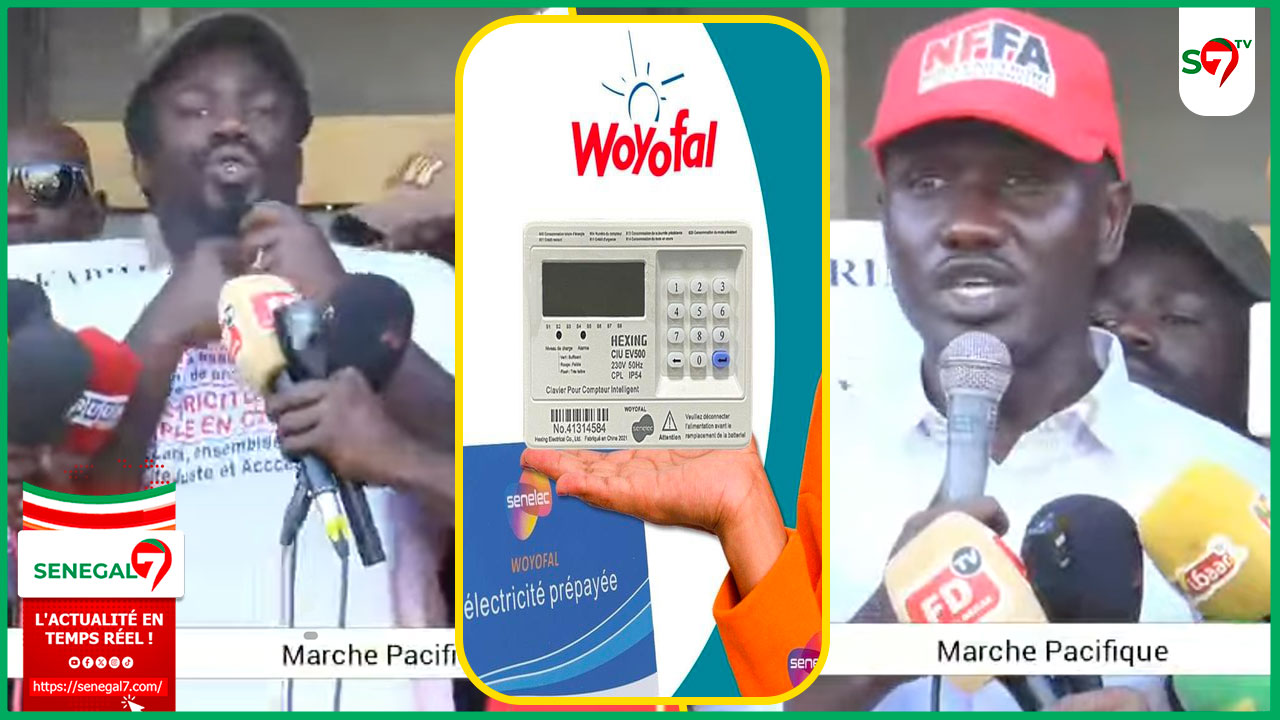 (Vidéo) Marche contre la cherté de l’électricité: les dures vérités de Djiby Ndiaye NFFA "Woyofal Bi..."