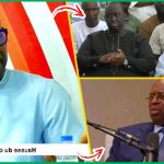 (Vidéo) Aliou Sall vole au secours de Lat Diop & lance une petite pique à DIOMAYE « Maillot Bou Vert Doumako… »